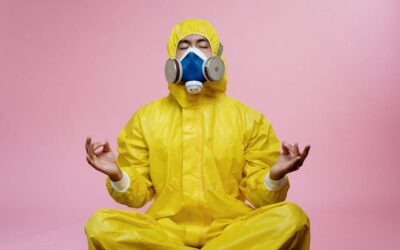 Top Anti-Mold Chemicals Review: Are They the Best Solutions?