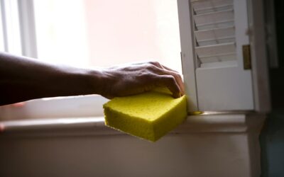 How to Prevent Mold in Your House on a Budget