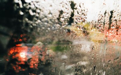 Keep Your Car Dry: Top Moisture Absorbers for Car Interiors